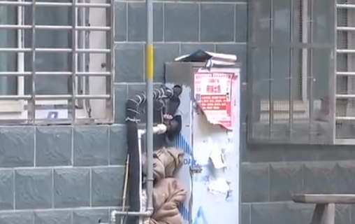 自來水管道保溫電伴熱帶，冬季管道防凍新寵(圖2)